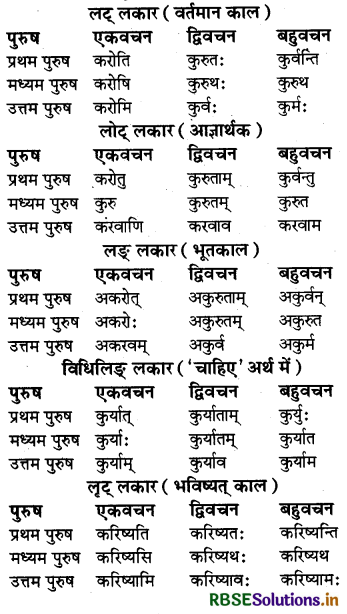 RBSE Class 6 Sanskrit व्याकरण धातु - रूपाणि 6