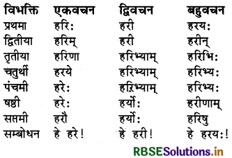 RBSE Class 6 Sanskrit व्याकरण शब्दरूपाणि - संज्ञा-शब्द, सर्वनाम-शब्द 7