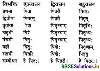 RBSE Class 6 Sanskrit व्याकरण शब्दरूपाणि - संज्ञा-शब्द, सर्वनाम-शब्द 9