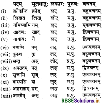 RBSE Class 6 Sanskrit व्याकरण धातु - रूपाणि 9
