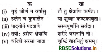 RBSE Solutions for Class 6 Sanskrit Ruchira Chapter 10 कृषिकाः कर्मवीराः 2
