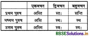 RBSE Class 6 Sanskrit व्याकरण कर्ता एवं क्रिया 2