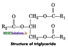 RBSE Solutions for Class 11 Biology Chapter 9 Biomolecules 1