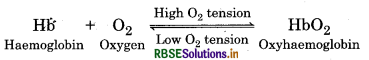 RBSE Solutions for Class 11 Biology Chapter 17 Breathing and Exchange of Gases 1