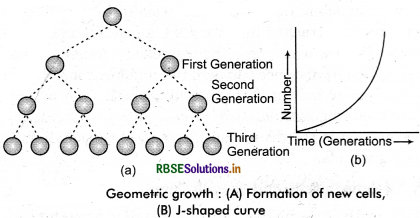 RBSE Solutions for Class 11 Biology Chapter 15 Plant Growth and Development 2