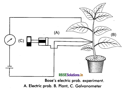 RBSE Class 11 Biology Important Questions Chapter 11 Transport in Plants 8