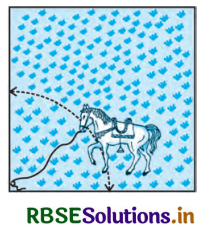 RBSE Solutions for Class 10 Maths Chapter 12 वृतों से संबंधित क्षेत्रफल Ex 12.2 Q8
