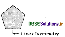 RBSE Solutions for Class 6 Maths Chapter 13 Symmetry Ex 13.1 12