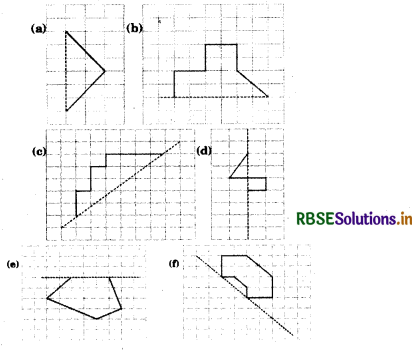 RBSE Solutions for Class 6 Maths Chapter 13 Symmetry Ex 13.1 13
