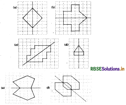 RBSE Solutions for Class 6 Maths Chapter 13 Symmetry Ex 13.1 14