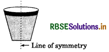 RBSE Solutions for Class 6 Maths Chapter 13 Symmetry Ex 13.1 5