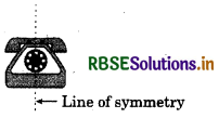 RBSE Solutions for Class 6 Maths Chapter 13 Symmetry Ex 13.1 8