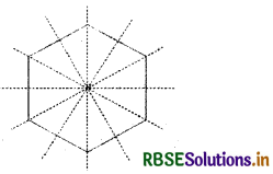 RBSE Solutions for Class 6 Maths Chapter 13 Symmetry Ex 13.2 10
