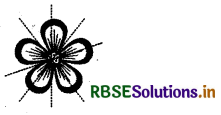 RBSE Solutions for Class 6 Maths Chapter 13 Symmetry Ex 13.2 16