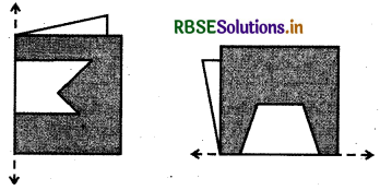 RBSE Solutions for Class 6 Maths Chapter 13 Symmetry Ex 13.2 40