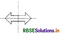 RBSE Solutions for Class 6 Maths Chapter 13 Symmetry Ex 13.3 12