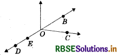 RBSE Solutions for Class 6 Maths Chapter 4 Basic Geometrical Ideas Ex 4.1 1