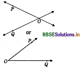 RBSE Solutions for Class 6 Maths Chapter 4 Basic Geometrical Ideas Ex 4.1 10