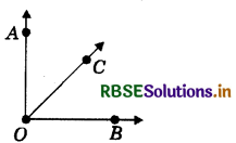RBSE Solutions for Class 6 Maths Chapter 4 Basic Geometrical Ideas Ex 4.3 5