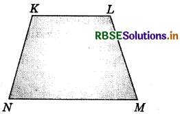 RBSE Solutions for Class 6 Maths Chapter 4 Basic Geometrical Ideas Ex 4.5 2