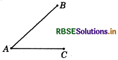 RBSE Solutions for Class 6 Maths Chapter 4 Basic Geometrical Ideas InText Questions 3
