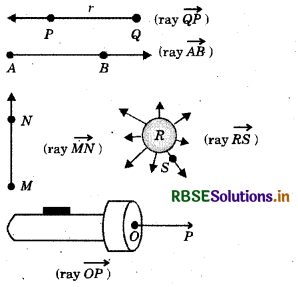 RBSE Solutions for Class 6 Maths Chapter 4 Basic Geometrical Ideas InText Questions 5