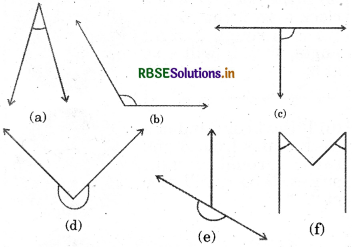 RBSE Solutions for Class 6 Maths Chapter 5 Understanding Elementary Shapes Ex 5.3 1