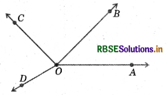 RBSE Solutions for Class 6 Maths Chapter 5 Understanding Elementary Shapes Ex 5.4 10