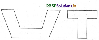 RBSE Solutions for Class 6 Maths Chapter 5 Understanding Elementary Shapes Ex 5.8 6