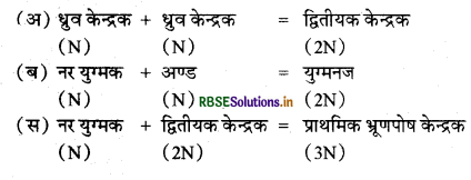 RBSE Solutions for Class 11 Biology Chapter 3 वनस्पति जगत 2
