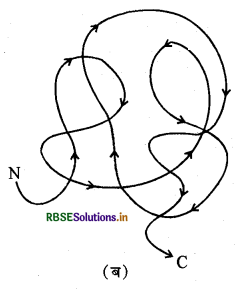 RBSE Solutions for Class 11 Biology Chapter 9 जैव अणु  1