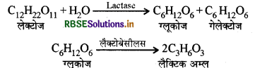 RBSE Solutions for Class 11 Biology Chapter 9 जैव अणु 5