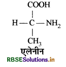 RBSE Solutions for Class 11 Biology Chapter 9 जैव अणु 7]
