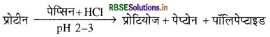 RBSE Solutions for Class 11 Biology Chapter 16 पाचन एवं अवशोषण 12