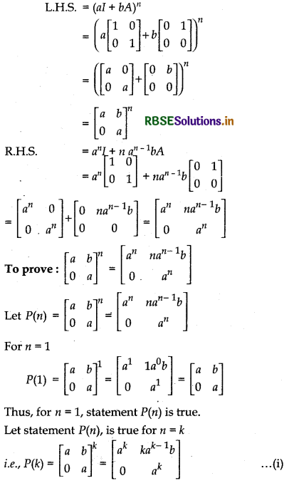 RBSE Solutions for Class 12 Maths Chapter 3 Matrices Miscellaneous Exercise 1