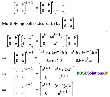 RBSE Solutions for Class 12 Maths Chapter 3 Matrices Miscellaneous Exercise 2