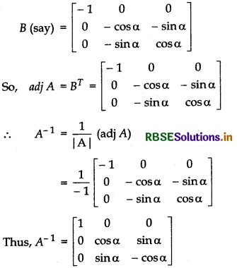 RBSE Solutions for Class 12 Maths Chapter 4 Determinants Ex 4.5 11
