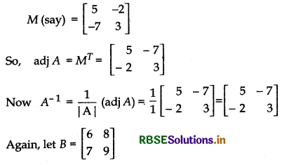 RBSE Solutions for Class 12 Maths Chapter 4 Determinants Ex 4.5 12