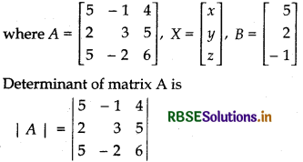 RBSE Solutions for Class 12 Maths Chapter 4 Determinants Ex 4.6 6