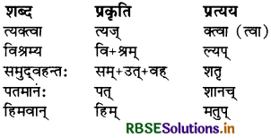 RBSE Solutions for Class 11 Sanskrit Shashwati Chapter 2 ऋतुचित्रणम् 1