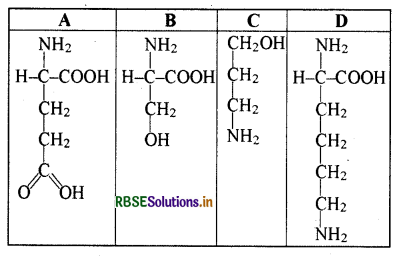 RBSE Class 11 Biology Important Questions Chapter 9 जैव अणु 10