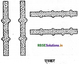 RBSE Class 11 Geography Important Questions Chapter 7 भू-आकृतियाँ तथा उनका विकास - 15