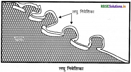 RBSE Class 11 Geography Important Questions Chapter 7 भू-आकृतियाँ तथा उनका विकास - 17