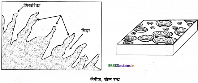 RBSE Class 11 Geography Important Questions Chapter 7 भू-आकृतियाँ तथा उनका विकास - 8