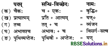 RBSE Solutions for Class 11 Sanskrit Shashwati Chapter 14 नवद्रव्याणि 1