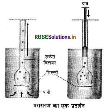 RBSE Class 11 Biology Important Questions Chapter 11 पौधों में परिवहन 1'
