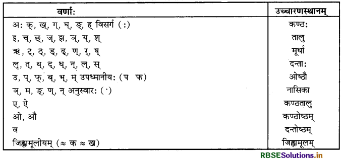 RBSE Class 11 Sanskrit व्याकरणम् वर्णानाम् उच्चारणस्थान-प्रयत्नानि 1