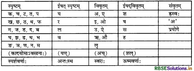 RBSE Class 11 Sanskrit व्याकरणम् वर्णानाम् उच्चारणस्थान-प्रयत्नानि 2