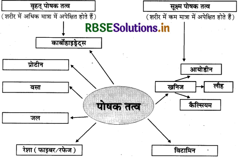 RBSE Solutions for Class 11 Home Science Chapter 3 भोजन, पोषण, स्वास्थ्य और स्वस्थता Important Questions 1