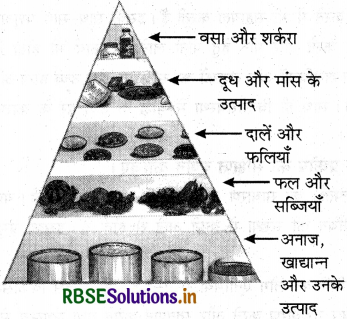 RBSE Solutions for Class 11 Home Science Chapter 3 भोजन, पोषण, स्वास्थ्य और स्वस्थता Important Questions 2